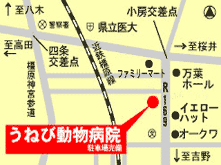 うねび動物病院｜橿原市｜動物病院