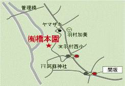 有限会社 橋本園|羽村市|お茶製造販売