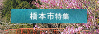 橋本市特集