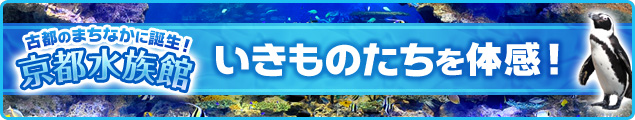 古都のまちなかに誕生！京都水族館 いきものたちを体感！